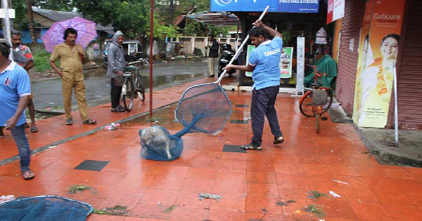 ഡോഗ് ക്യാച്ചര്‍ ഒഴിവിലേക്ക് ഇന്റർവ്യൂ