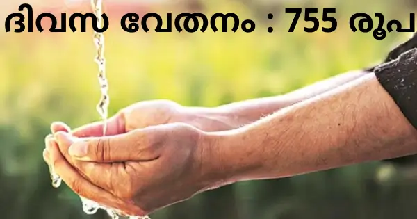  ജൽ ജീവൻ മിഷനിൽ 46 ഒഴിവുകൾ