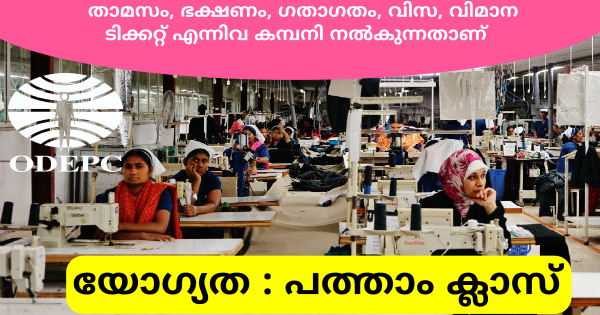 ജോർദാനിലെ പ്രശസ്ത ഫാഷൻ വ്യവസായ ഗ്രൂപ്പിൽ 100 ഒഴിവുകൾ