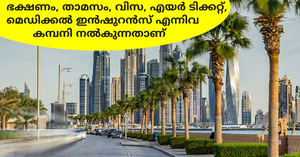 UAE യിലെ ഇൻഡസ്ട്രിയൽ മെഡിസിൻ ഡിവിഷനിൽ ജോലി നേടാം