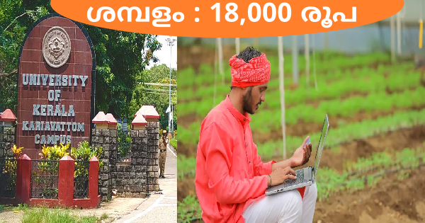 കേരള സർവകലാശാലയിൽ ഫീൽഡ് അസിസ്റ്റൻ്റ് ഒഴിവ്