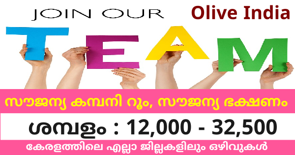 Olive India യിൽ സ്ഥിര നിയമനം