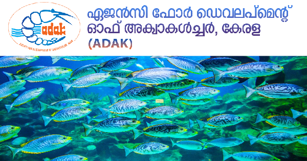 കേരള ADAK ന്റെ കീഴിൽ ഒഴിവുകൾ