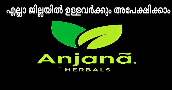 Anjana Marketing Creative Division ൽ ജോലി ഒഴിവുകൾ