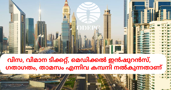 UAE യിൽ 100 ഒഴിവുകൾ