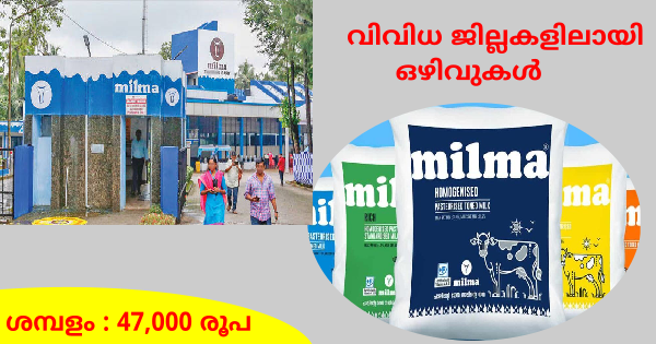 മിൽമയിൽ ജോലി നേടാം നിരവധി ജില്ലകളിൽ ഒഴിവുകൾ