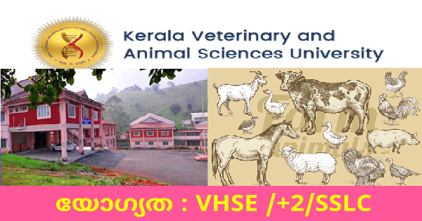 വെറ്ററിനറി യൂണിവേഴ്‌സിറ്റിയിൽ അവസരം