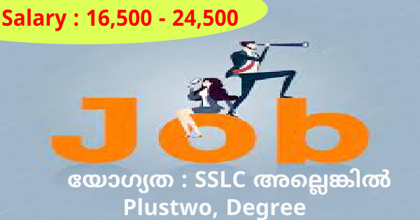 Big Wings Group ൽ നിയമനം