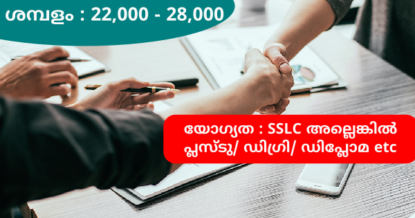 എല്ലാ ജില്ലകളിലും IBC ഗ്രൂപ്പിൻ്റെ പുതിയ ഔട്ട്‌ലെറ്റുകളിലേക്ക് ഉടൻ നിയമനം