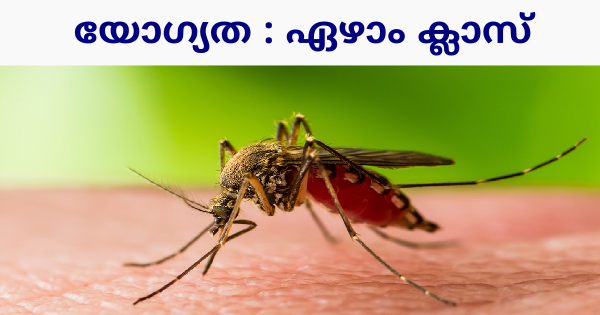 കണ്ടിൻജൻ്റ് വർക്കേഴ്സിനെ നിയമിക്കുന്നു