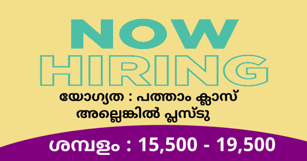 LIFE VISION ഗ്രൂപ്പിലെ വിവിധ ഒഴിവിലേക്ക് നിയമനം നടത്തുന്നു