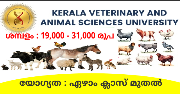 കേരള വെറ്ററിനറി യൂണിവേഴ്‌സിറ്റിയിൽ ഒഴിവുകൾ