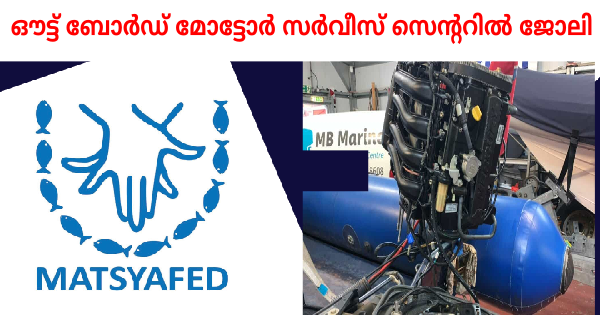 മത്സ്യഫെഡിൻ്റെ കീഴിൽ അവസരം
