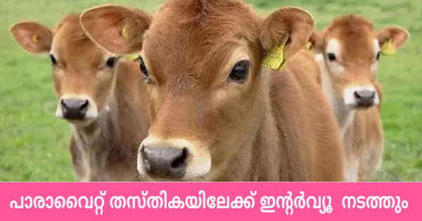 മൃഗസംരക്ഷണ വകുപ്പിന്റെ കീഴിൽ ജോലി നേടാം