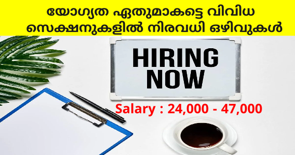 DARETECH ൻ്റെ കീഴിൽ ജോലി നേടാൻ അവസരം