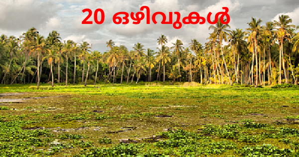 ഭൂവിനിയോഗ വകുപ്പിൽ അവസരം